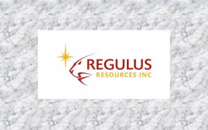 Regulus Resources TSXV:REG Precious Metals, Industrial Metals, 贵金属，工业金属