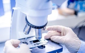 MabSpace Biosciences Announces FDA Approval of IND for MSB2311, a Second Generation PD-L1 Antibody With pH Dependent Antigen Binding and Recycling Property，中国迈博斯生物宣布MSB231的临床试验申请获FDA批准