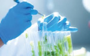 Basic R&D Investment Rose Twofold in Last 5 Years, Says Sci-Tech Official, 中国科技部：中国未来将增加企业基础研究的投入