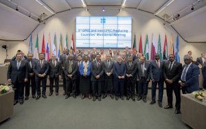 Global crude producers to formalise oil alliance — UAE energy minister-阿联酋能源部长：全球原油生产国将建立正式联盟