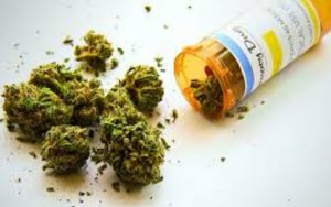 Alberta government outlines rules for operating pot shops，加拿大艾伯塔省政府推出大麻安全监管框架，首年拟批建250贩卖店
