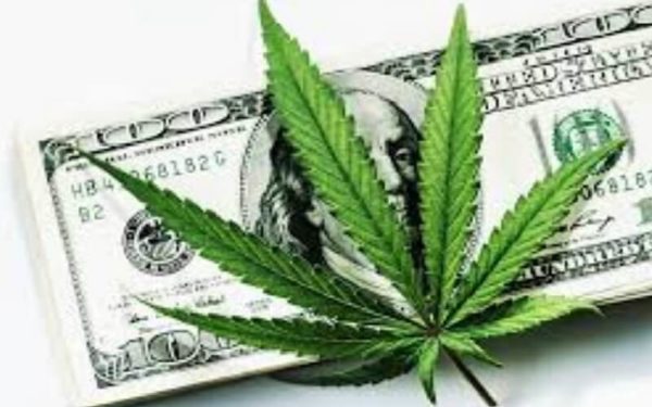 Hemp State Highlight: Minnesota embraces revived hemp crop, but profits elusive，美国明尼苏达州工业麻种植面积增多，种植兴趣日浓