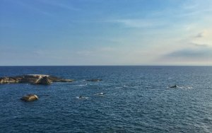 Philippines, China to work out how to tap oil, gas that both sides claim-中国和菲律宾将商讨如何共同开发南海油气资源