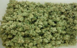 The Cannabis Market Projected to Benefit from Legalization，大麻合法化令市场受益，美国整个合法大麻行业2017年总销售额预计将达到约100亿美元