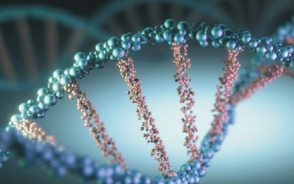 China’s Chongqing University Teams Up With ETH Zurich to Build DNA-Encoded Molecule Library，中国重庆大学联合瑞士团队建立DNA编码分子库