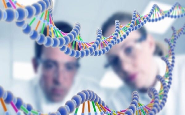Anke Biotech Unit Will Act as Legal Medicine Agent for US Gene Sequencing Giant in China，中国安科生物全资子公司获美国基因测序公司独家经销权