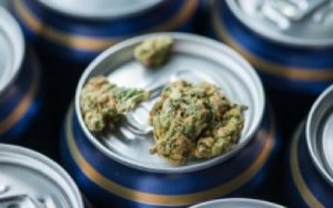 Canadian companies gear up for cannabis-infused market before legalization，大麻注入饮料风靡加拿大，投资者风涌而至