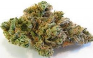 Trump signs spending bill that includes medical marijuana protections，有了美国总统一句话，医用大麻公司可以暂时松口气了