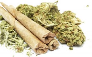 Snoop Dogg’s venture capital firm leads CA$4.3M raise for Canadian cannabis company，美国饶舌歌手史努比狗狗旗下风投公司领投加拿大大麻公司新一轮融资