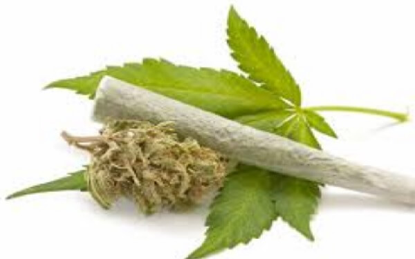 Legal Cannabis and CBD Sales are on the Rise，北美合法大麻及大麻二酚销量持续上升，到2021年销售总额将增至202亿美元