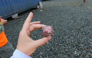 Canada’s First Cobalt makes US acquisition-溢价62%！加拿大First Cobalt收购美国钴矿企业