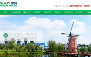 Glencore signs massive cobalt sale deal with China's GEM-搞定嘉能可！中国格林美签订战略钴采购大单
