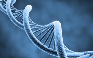 CMB Leads $65M Series C Round In Chinese Biotech Firm Biocytogen，中国百奥赛图完成人民币4.1亿元C轮融资
