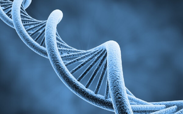 CMB Leads $65M Series C Round In Chinese Biotech Firm Biocytogen，中国百奥赛图完成人民币4.1亿元C轮融资