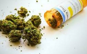 New Orleans medical marijuana pharmacy gets green light，路易斯安那州目前唯一的医用大麻销售许可证，花落美国药房H＆W
