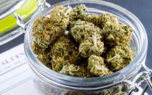 A powerful drug derived from marijuana is on the cusp of federal approval，FDA或会审批通过首款治疗癫痫症的大麻药物Epidiolex