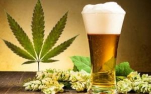 Legal marijuana tied to drop in opioid prescriptions, 大麻合法化有助于遏制阿片滥用危机吗？