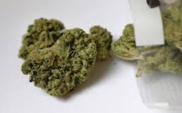 Here's What We Know About Marijuana's Health Benefits and Risks This 4/20，大麻医用，益处多多，大麻业务价值数十亿美元