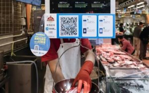 China fintech groups ride boom to list in US，中国金融科技市场年增长44%，更多金融科技企业赴美上市