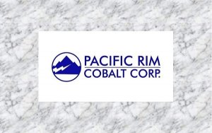 Pacific Rim Cobalt Corp. (CSE: BOLT) (FRANKFURT: NXFE) (OTCQB: PCRCF)