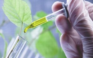 Lexaria Solidifies Presence in Edibles Market with New Agreement，Lexaria的DehydraTECH™技术再展实力，续签1906品牌大麻巧克力生产