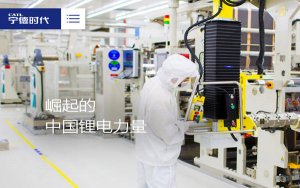 Chinese battery firms join Responsible Cobalt Initiative-两家中国企业加入负责任的钴计划