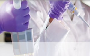 Harbour BioMed Collaborates with WuXi Biologic for Supply of Novel Antibody，药明生物与和铂医药达成新型抗体合作