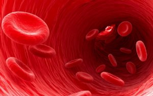 Hong Kong University Lab Invents Human Hair-Sized Robot for Cell Transfer，中国香港城市大学发明细胞运输机器人