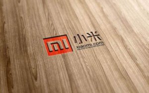 China's Xiaomi secures seven cornerstone investors for $6.1 billion Hong Kong IPO-小米香港IPO获七名基石投资者认购