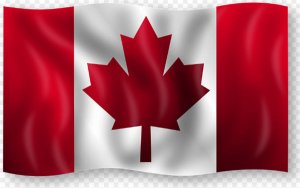 Canada pushes Trans Mountain pipeline to sell oil to China far beyond US shores-加拿大想要借管道向中国出口原油