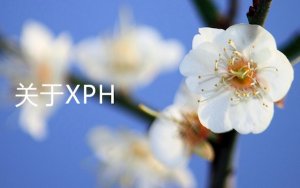 Xiangxue to Build Cell-Therapy Manufacturing Plant in Guangzhou；香雪制药将在广州建立细胞疗法生产工厂