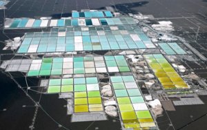 China's Ganfeng grabs SQM's stake in Argentinean lithium project-赣锋锂业入股SQM阿根廷锂项目