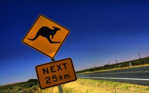 Dorado: Australia's biggest oil discovery this century-澳大利亚本世纪最大的石油发现