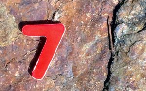 Seven new powerhouses to drive mineral demand: EMR exec-EMR：七大新兴经济体将拉动矿产需求