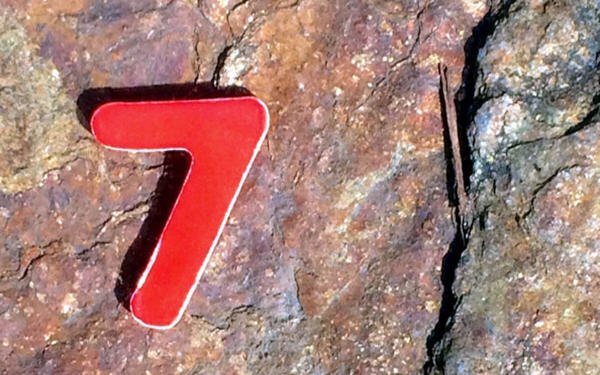 Seven new powerhouses to drive mineral demand: EMR exec-EMR：七大新兴经济体将拉动矿产需求