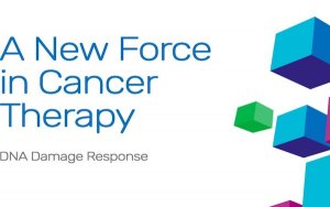 Artios Snags $84 Million to Advance DDR Cancer Treatments，英国Artios获8400万美元B轮融资，辉瑞等医药巨头参投