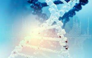 CANbridge Approved for China Phase Ib/III Trial of Esophageal Cancer Drug，北海康成的中国Ib / III期食管癌药物试验获批