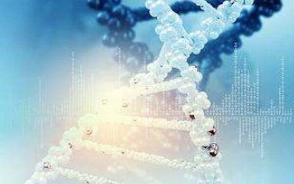 CANbridge Approved for China Phase Ib/III Trial of Esophageal Cancer Drug，北海康成的中国Ib / III期食管癌药物试验获批