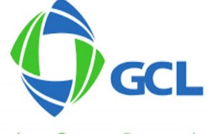 China's solar giant GCL to make electric car move in new 'eco-town'，中国太阳能巨头保利协鑫计划进军电动汽车