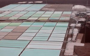 Exclusive: Lithium producer Albemarle eyes buying rival if IPO stumbles - source-美国Albemarle欲收购FMC锂资产