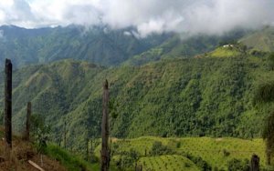 Newmont can’t get enough of Colombia, buys 19.9% of Orosur-纽蒙特矿业再度出手，入股又一家加拿大初级矿企