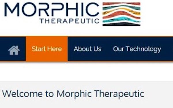 $80 Million Series B Financing Funds Morphic Therapeutic’s Next-Generation Oral Integrin，美国Morphic Therapeutic完成8000万美元的B轮融资，开发下一代口服整合素