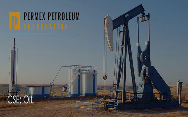 New Form of Crude Oil Among Wave of Development for Permian Basin Petroleum Plays-二叠纪盆地开发浪潮中的新形式