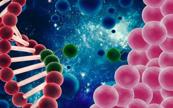 Cellular Bio Acquires Rights to Solid Tumor Immunotherapy from National Cancer Institute，西比曼生物科技集团从国家癌症研究所获得实体肿瘤免疫治疗的专利授权