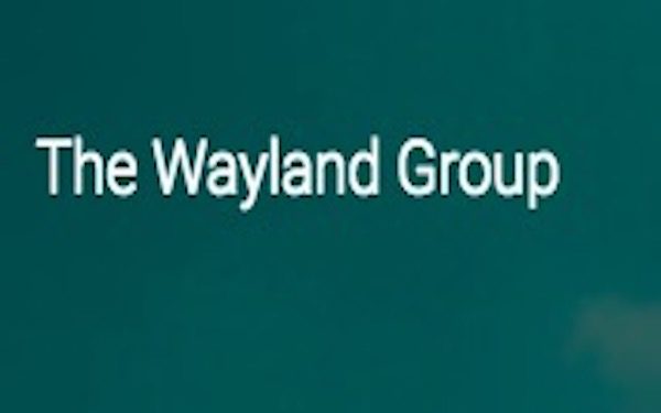 Wayland Signs Minimum 9,000 kilograms Supply Agreement with Cannamedical for Export of Product from Canada to Germany，加拿大Wayland与德国Cannamedical签订协议，出口至少9,000公斤大麻花