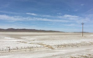 BC miner expands Nevada lithium project-卑诗省矿企扩大内华达州锂矿项目