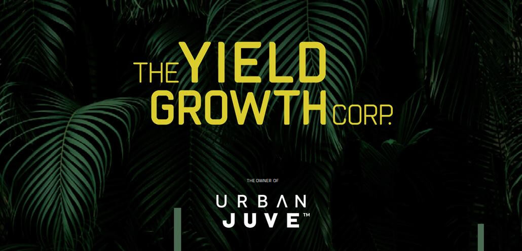The yield growth