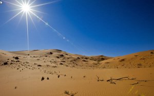 Saudi Arabia says new mining project to increase non-oil GDP by 3%-沙特称新的采矿项目将帮助沙特非石油GDP增长3%