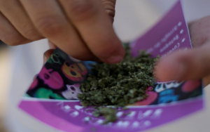 medical marijuana