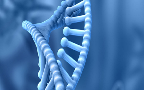 CStone Pharma Files for Hong Kong IPO to Support its Oncology Portfolio,中国基石药业向港交所递交了IPO申请招股书